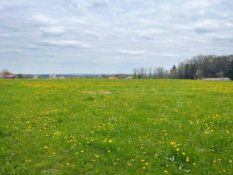 23-04-30 15-25-46 5253